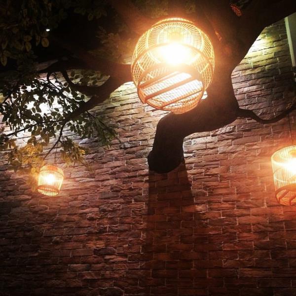 BỘ SƯU TẬP GẠCH DÒNG DS-50